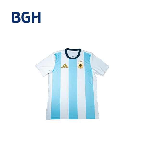Camiseta BGH adidas Talle M