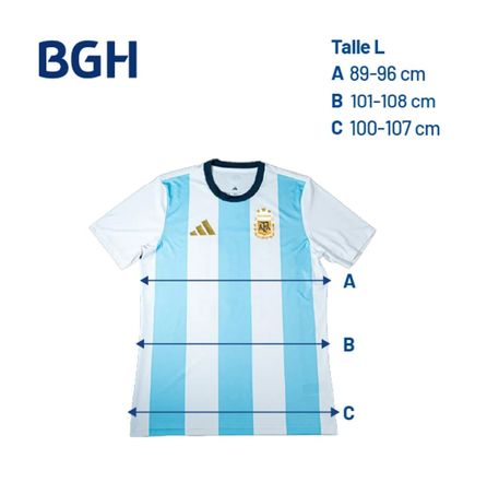 Combo Aire Acondicionado BGH Split Inverter Frio/Calor 3100F + Camiseta BGH adidas Talle L